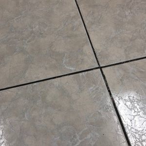 Meet your Posher, Wilbert